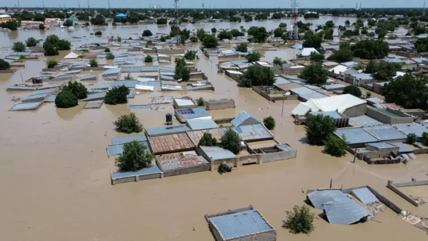 Flood in Maiduguri: "The Time for Government Action is Now," says Humanitarian Leaders Network