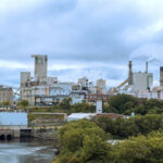 Unifor Urges Government Action as Uncertainty Grips Espanola Mill and Forestry Sector
