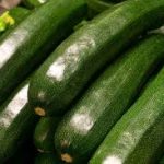 Rural Youth Redefining Agriculture Across Africa